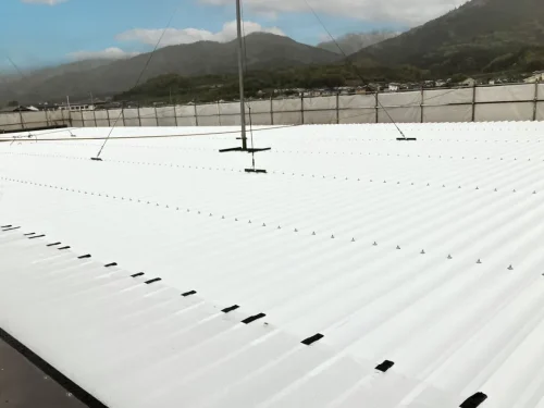 奈良県桜井市株式会社池利様　屋根カバー工事