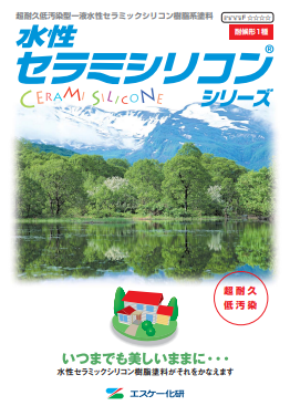セラミシリコン