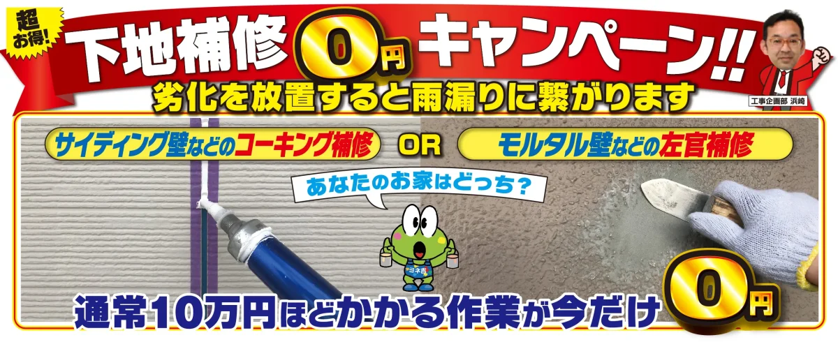 キャンペーン