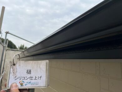 奈良県橿原市M様邸　外壁塗装・防水工事 樋シリコン仕上げ